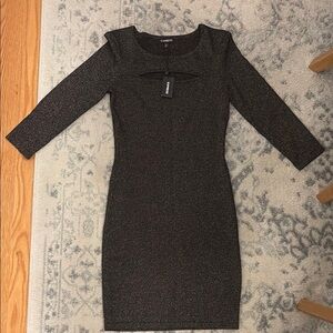 Express Black Glitter Dress